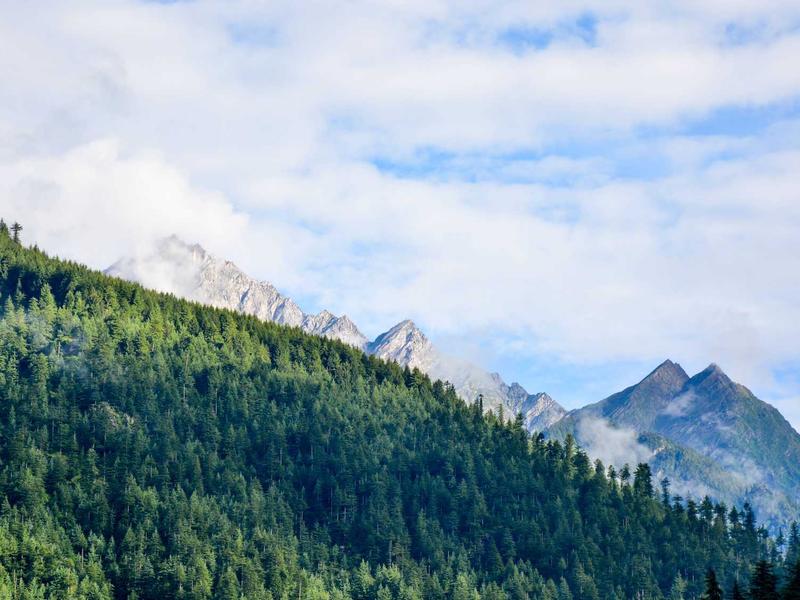 元界地契<br>元宇宙地产与数字土地证